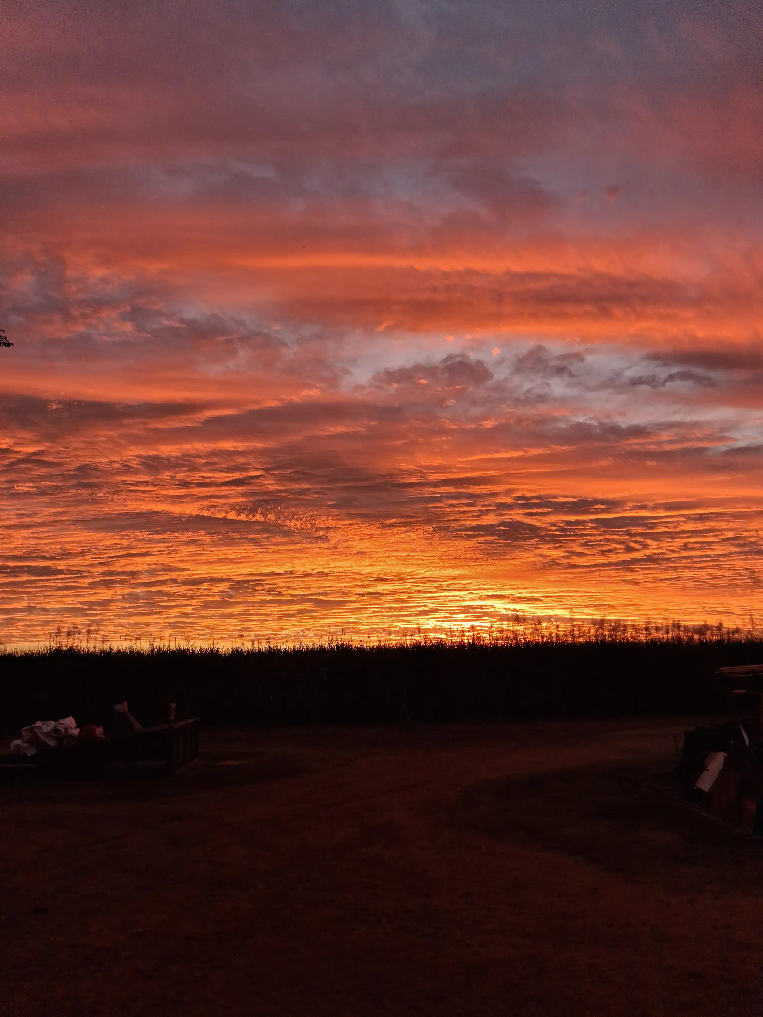 Sunset over the cane paddock